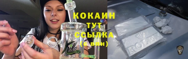 бошки Аркадак