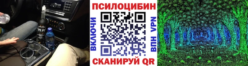 Купить закладки  Серов  Псилоцибиновые грибы MAGIC MUSHROOMS 
