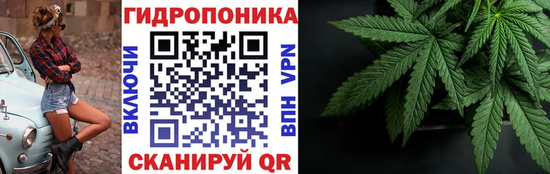 Купить закладки  Серов  Марихуана индика 